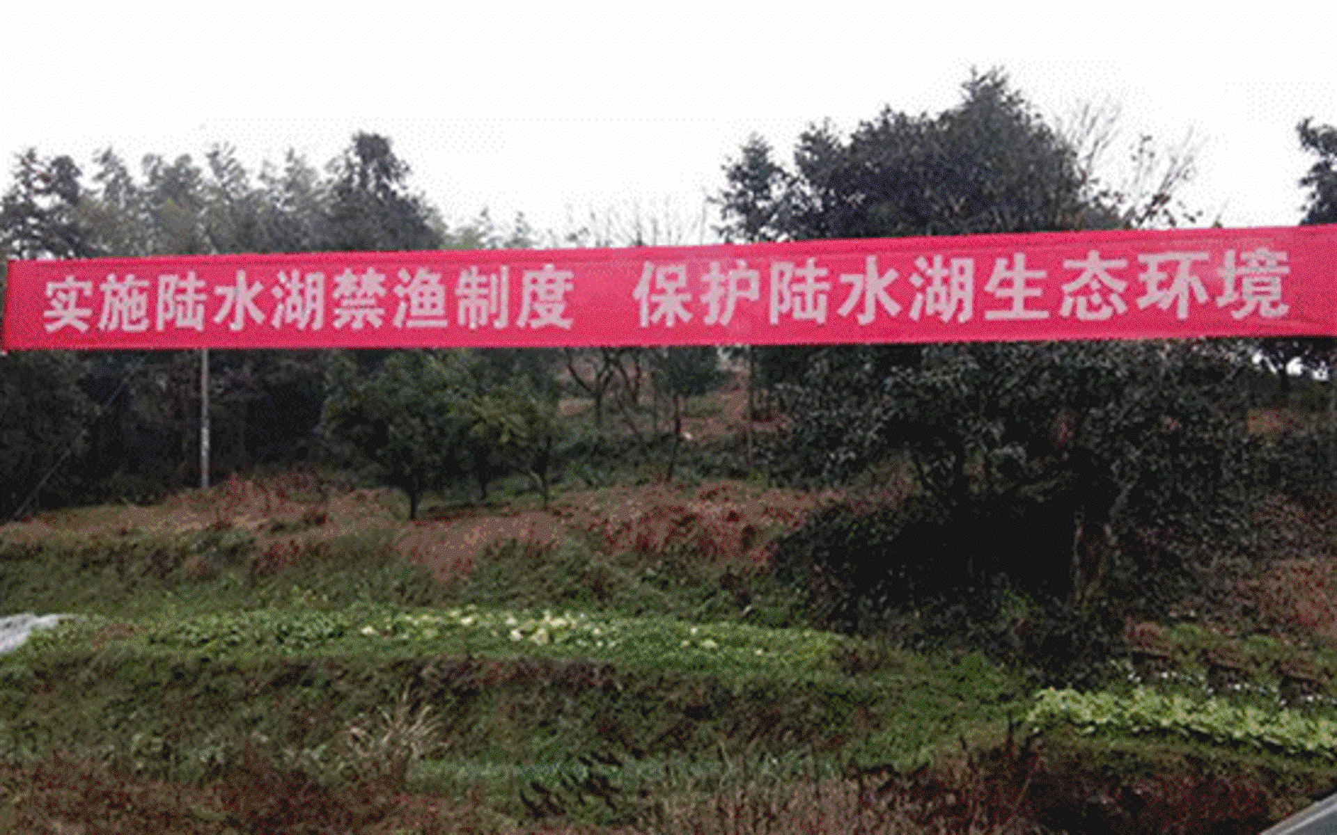 湖布软件